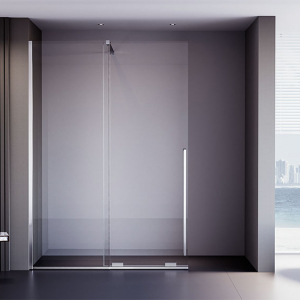 Душевая дверь Veconi Premium Trento PTDW-50CH, 1100x2000, хром, стекло прозрачное Ника